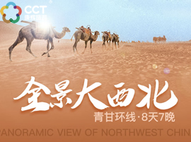 【20人精品团】青甘8日深度游 | 青海湖连住+双湖航拍 | 真皮躺椅车+飞天宴 | 一价全含零自费