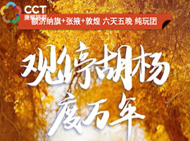 【私家团】额济纳旗6天5晚深度游｜胡杨林旅拍+黑城实景演出+七彩丹霞｜含骆驼落日体验