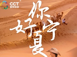 【私家团】宁夏银川中卫3日深度游｜沙漠露营+66号公路+五湖穿越｜随走随停mini团