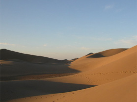 吐鲁番沙漠生态