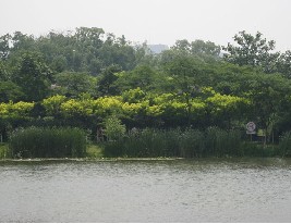 黄山湖公园