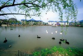 申隆生态园
