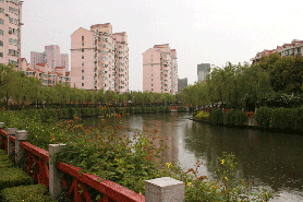 塘桥公园
