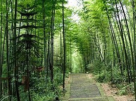 竹乡国家森林公园