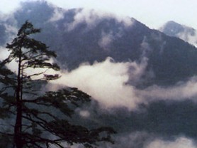 武夷山自然保护区