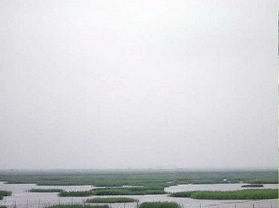 三河湿地自然保护区